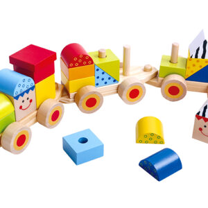 Trem de blocos Tooky Toy
